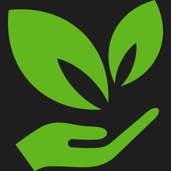 51 Leaves in hands Thumbnail