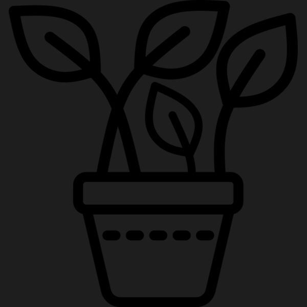 Plotted Plant 3 Thumbnail