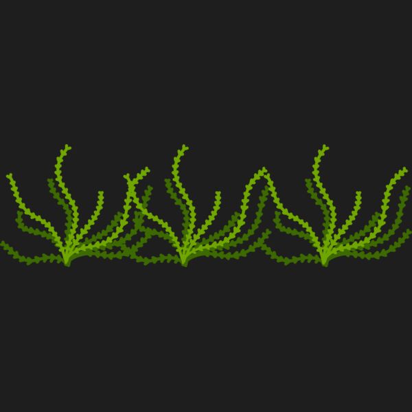 Sea Plant Thumbnail