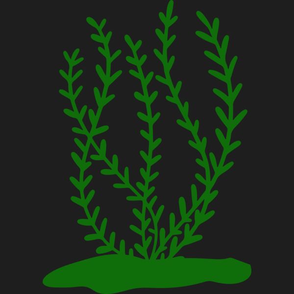 Sea Plants 3 Thumbnail