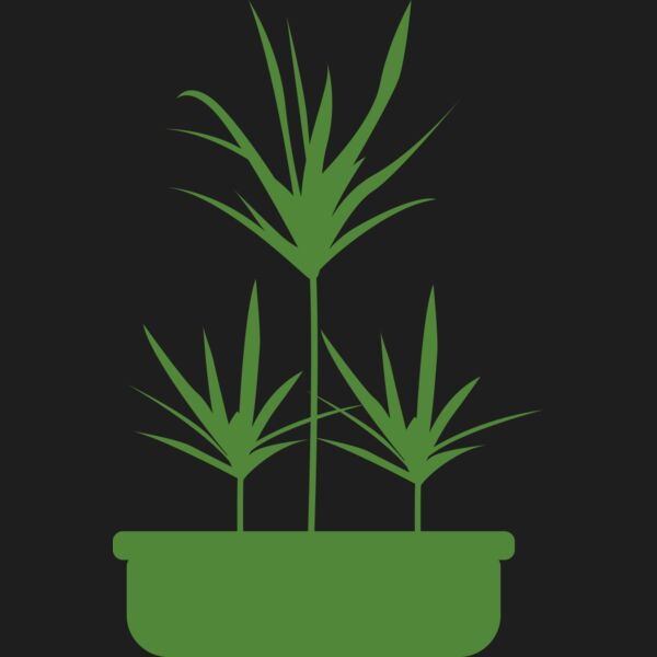 Plants 5 Thumbnail
