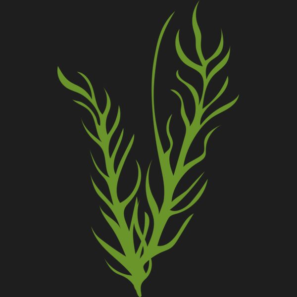 Leaves 8 Thumbnail