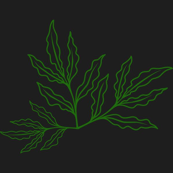 Leaves 7 Thumbnail