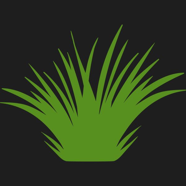 Grass 2 Thumbnail