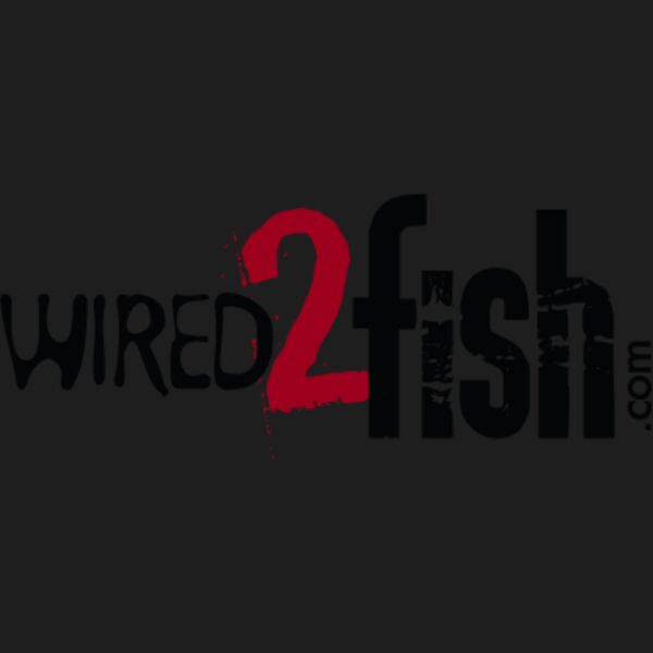 Wired 2 Fish Black Thumbnail